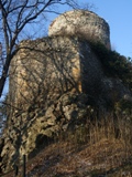 Zamek Wle